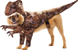 Illustration for article titled The first Jurassic World photos have everything you love about Jurassic Park, except dinosaurs